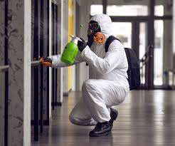 Best Mold Odor Removal Services in Westlake, OH